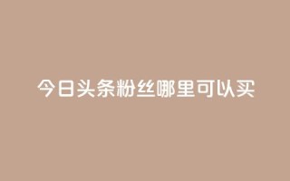 今日头条粉丝哪里可以买 - 在哪里可以购买今日头条粉丝?!