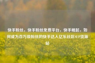 快手粉丝,快手粉丝免费平台,快手崛起,如何成为百万级粉丝的快手达人亿乐社区SUP货源站