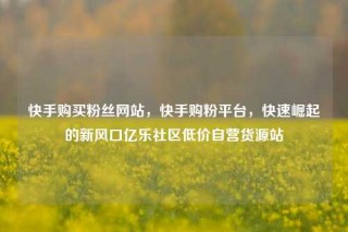 快手购买粉丝网站,快手购粉平台,快速崛起的新风口亿乐社区低价自营货源站
