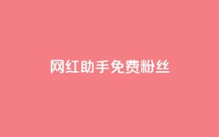 网红助手免费粉丝 - 网红助手助你免费获取更多粉丝技巧!