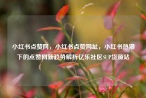 小红书点赞网，小红书点赞网址，小红书热潮下的点赞网新趋势解析亿乐社区SUP货源站