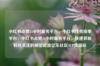 小红书点赞24小时服务平台,小红书任务接单平台,小红书点赞24小时服务平台,快速获取粉丝关注的秘密武器亿乐社区SUP货源站