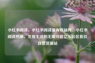 小红书阅读,小红书阅读量有收益吗,小红书阅读热潮,发现生活的无限可能亿乐社区低价自营货源站
