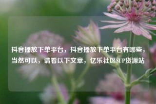 抖音播放下单平台,抖音播放下单平台有哪些,当然可以,请看以下文章,亿乐社区SUP货源站
