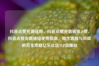 抖音点赞充值链接,抖音点赞充值链接50赞,抖音点赞充值链接使用指南,操作流程与风险防范全攻略亿乐社区SUP货源站