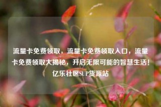 流量卡免费领取,流量卡免费领取入口,流量卡免费领取大揭秘,开启无限可能的智慧生活!亿乐社区SUP货源站