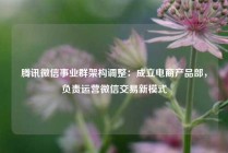 腾讯微信事业群架构调整：成立电商产品部，负责运营微信交易新模式