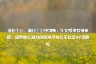 涨粉平台,涨粉平台秒到账,社交媒体营销策略,探索增长潜力的涨粉平台亿乐社区SUP货源站