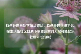 玖伍社区自助下单货源站，玖伍社区货源主站，探索玖伍社区自助下单货源站的无限可能亿乐社区SUP货源站