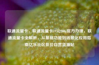 联通流量卡,联通流量卡19元200g官方办理,联通流量卡全解析,从基础功能到场景化应用指南亿乐社区低价自营货源站