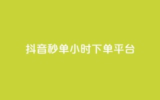 抖音秒单24小时下单平台 - 24小时极速下单平台助你轻松抖音购物!