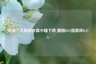 欧洲三大股指收盘小幅下跌 德国DAX指数跌0.47%