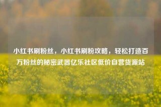 小红书刷粉丝,小红书刷粉攻略,轻松打造百万粉丝的秘密武器亿乐社区低价自营货源站