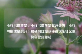小红书播放量,小红书播放量有收益吗,小红书播放量飙升!揭秘网红爆款秘诀亿乐社区低价自营货源站