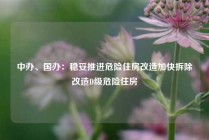 中办、国办：稳妥推进危险住房改造加快拆除改造D级危险住房