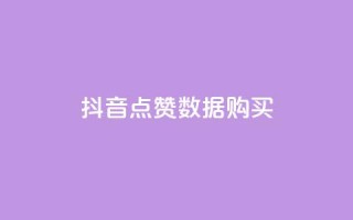 抖音点赞数据购买 - 购买抖音点赞数据的最新优惠!