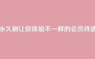 永久刷QQVIP,让你体验不一样的会员待遇