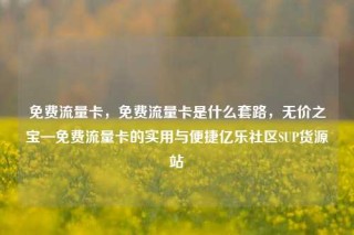 免费流量卡,免费流量卡是什么套路,无价之宝—免费流量卡的实用与便捷亿乐社区SUP货源站