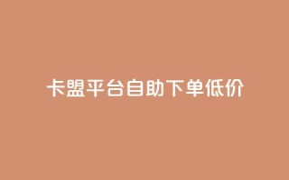卡盟平台自助下单低价 - 自助下单低价卡盟平台助你轻松购卡!