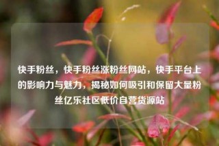 快手粉丝,快手粉丝涨粉丝网站,快手平台上的影响力与魅力,揭秘如何吸引和保留大量粉丝亿乐社区低价自营货源站