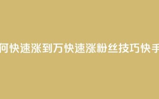 快手粉丝如何快速涨到1万(快速涨粉丝技巧,快手1万粉丝攻略)