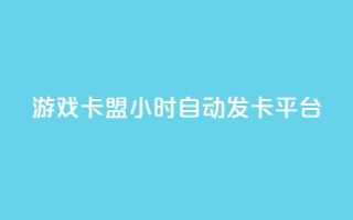 游戏卡盟24小时自动发卡平台 - 24小时自动发卡,游戏卡盟平台全新升级!