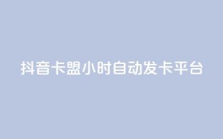 抖音卡盟24小时自动发卡平台,Ks24小时低价秒单业务 - ks业务网站平台 - 24h自助下单彩虹云商城