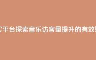 qq音乐访客量购买平台 - 探索QQ音乐访客量提升的有效购买平台。