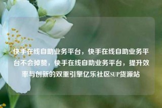 快手在线自助业务平台,快手在线自助业务平台不会掉赞,快手在线自助业务平台,提升效率与创新的双重引擎亿乐社区SUP货源站