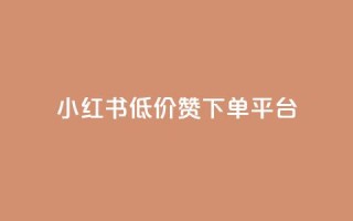 小红书低价赞下单平台 - 小红书优惠购点平台,低价推广快速下单~
