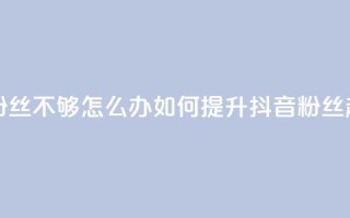 抖音有效粉丝不够500怎么办(如何提升抖音粉丝超过500)