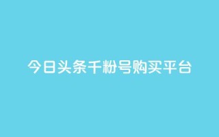 今日头条千粉号购买平台 - 解读今日头条千粉号购买平台,帮你实现粉丝加速增长~