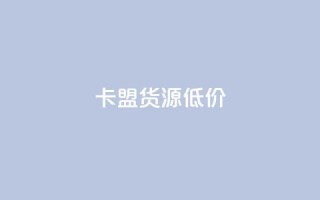 卡盟货源低价 - 低价卡盟货源获取攻略分享!