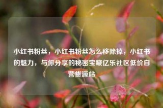 小红书粉丝,小红书粉丝怎么移除掉,小红书的魅力,与你分享的秘密宝藏亿乐社区低价自营货源站