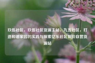 玖伍社区,玖伍社区货源主站,九五社区,打造和谐家园的实践与探索亿乐社区低价自营货源站
