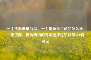 一手货源低价商品,一手货源低价商品怎么卖,一手货源,低价购物的完美选择亿乐社区SUP货源站