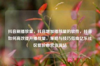 抖音刷播放量,抖音增加播放量的软件,抖音如何高效提升播放量,策略与技巧指南亿乐社区低价自营货源站
