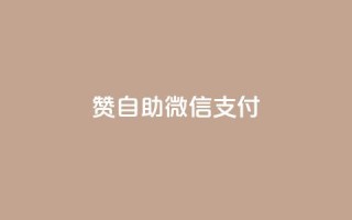 Ks赞自助微信支付 - 使用微信支付的Ks赞自助服务,简单方便!~