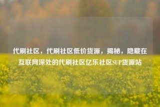 代刷社区,代刷社区低价货源,揭秘,隐藏在互联网深处的代刷社区亿乐社区SUP货源站