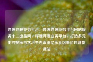 哔哩哔哩业务平台,哔哩哔哩业务平台网站服务十二出品网,哔哩哔哩业务平台,打造多元化的娱乐与学习生态系统亿乐社区低价自营货源站