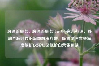 联通流量卡,联通流量卡19元200g官方办理,移动互联时代的流量解决方案,联通灵活套餐深度解析亿乐社区低价自营货源站