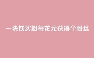 一块钱买1000粉(每花1元,获得1000个粉丝)