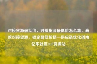对接货源最低价,对接货源最低价怎么算,高效对接货源,锁定最低价格—供应链优化指南亿乐社区SUP货源站