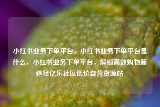 小红书业务下单平台,小红书业务下单平台是什么,小红书业务下单平台,解锁高效购物新途径亿乐社区低价自营货源站