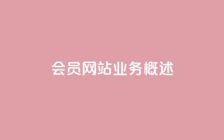 qq会员网站业务概述