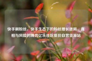 快手刷粉丝,快手生态下的粉丝增长迷局,真相与风险的博弈亿乐社区低价自营货源站