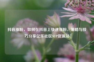 抖音涨粉,如何在抖音上快速涨粉,策略与技巧分享亿乐社区SUP货源站