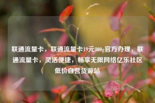 联通流量卡,联通流量卡19元200g官方办理,联通流量卡,灵活便捷,畅享无限网络亿乐社区低价自营货源站