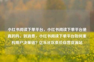 小红书阅读下单平台,小红书阅读下单平台是真的吗,到消费,小红书阅读下单平台如何重构用户决策链?亿乐社区低价自营货源站