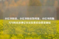 小红书粉丝,小红书粉丝如何涨,小红书的魅力与粉丝故事亿乐社区低价自营货源站